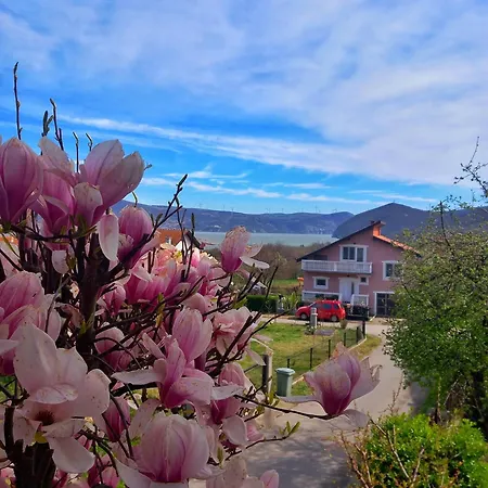 Aurora * ゴルバッツ