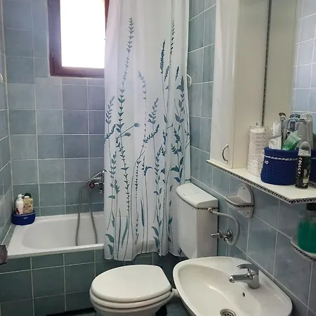 Aurora ゴルバッツ