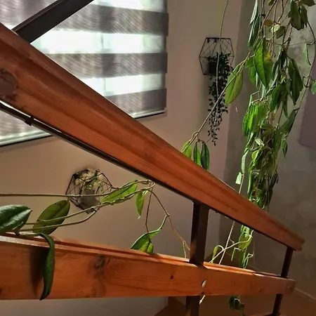 Aurora * ゴルバッツ