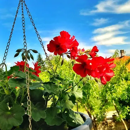 Aurora アパート *